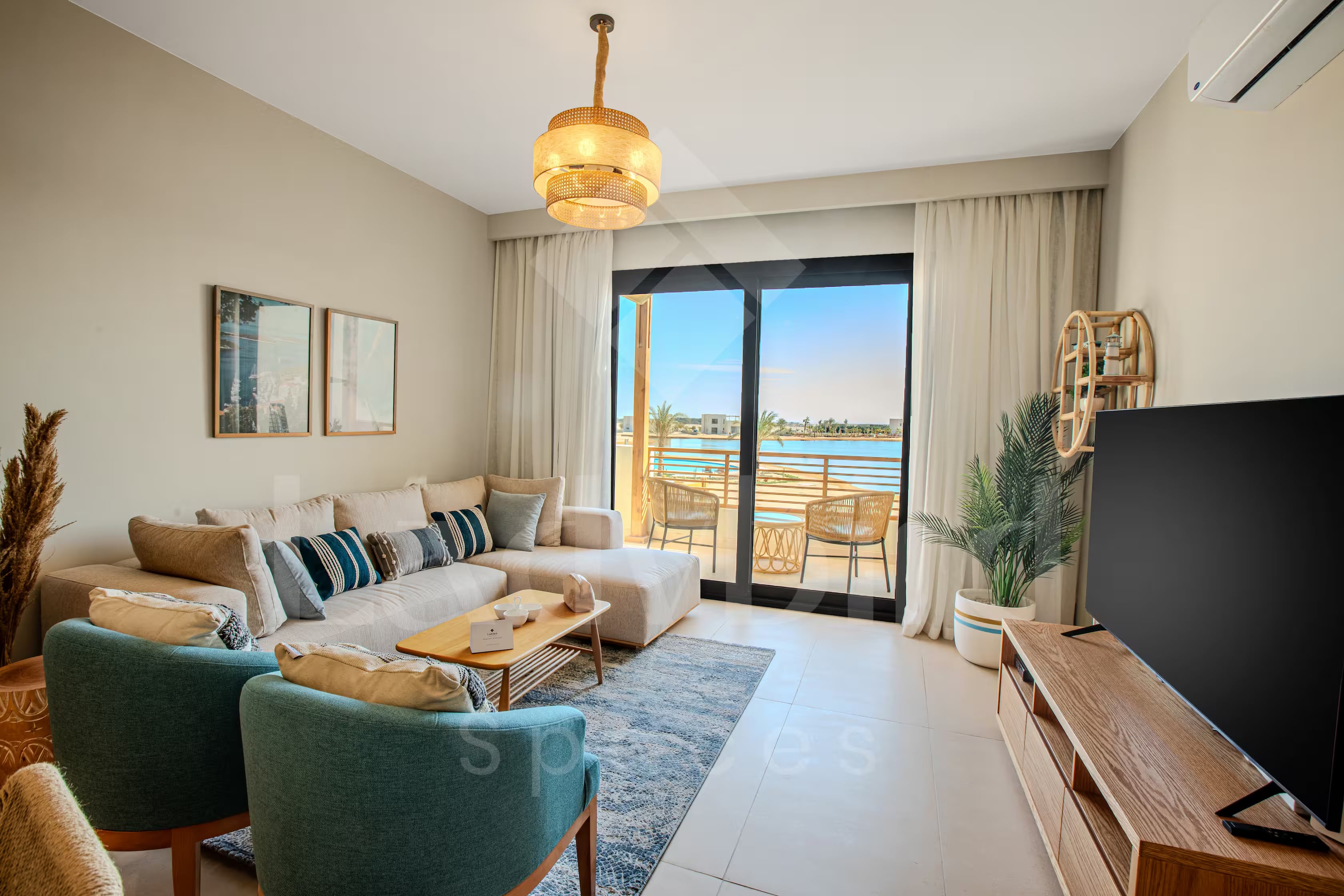 Ladybird - Shedwan Horizon